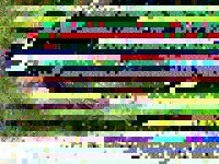 ED44F0DC-CCEC-42CA-9BC4-562D0FBB9694.jpeg
