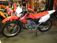 crf 230 II.jpg